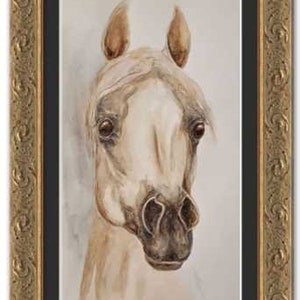 Arabian Horse Original Watercolor Painting