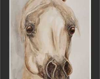 Arabian Horse Original Watercolor Painting