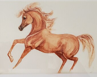 Arabisch paard originele aquarel schilderij kastanje paard OOAK