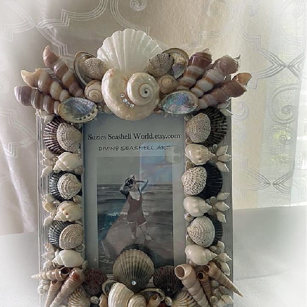 Seashell Frame - Etsy