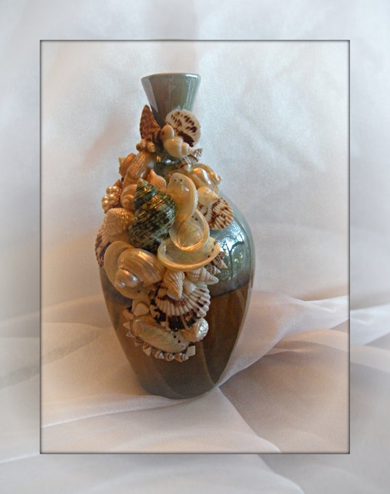 Reflections Seashell Vase Etsy
