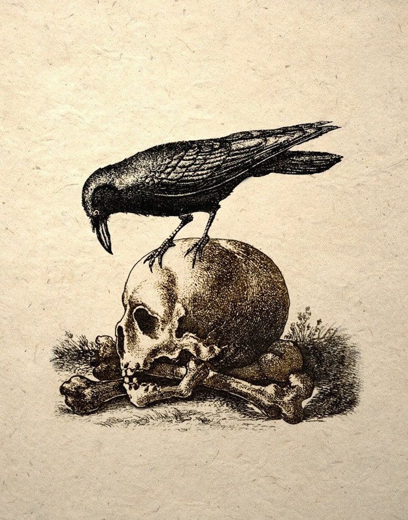 Crow On A Skull Gothic Macabre Art Print Medieval Memento Mori image 1