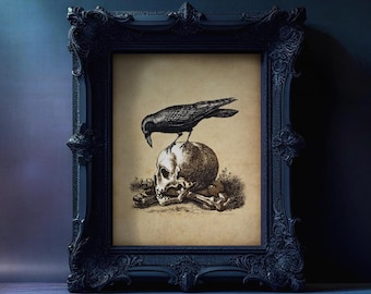 Crow On A Skull Gothic Art Print Medieval Memento Mori Dark Academia