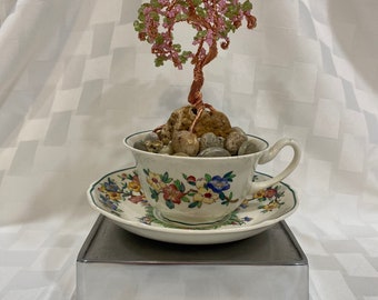 Teacup Bonsai Tree - Blossoming Cherry Tree