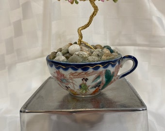 Teacup Bonsai Tree