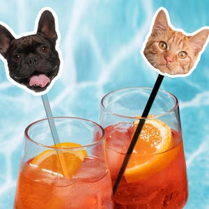 Custom Dog Face Stir Sticks, Pet Wedding Party Swizzle Sticks, Signature Drinks, I Do Too & Dog Of Honor Party Decor,  Wedding Drink Stirrer
