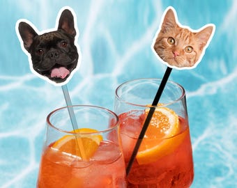 Puede incluir: Dos cócteles con rodajas de naranja y hielo, adornados con agitadores de bebidas con caras de perro y gato. Las bebidas están en vasos transparentes sobre un fondo azul.