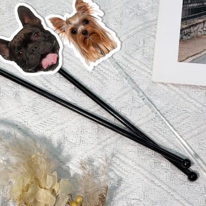 Hochzeits-Haustier-Gesichts-Rührstäbchen, Hundefoto-Rührstäbchen, Hochzeits-Cocktailrührer, Swizzle-Stick, Hochzeitsfeier-Getränkerührer, Signature-Drinks