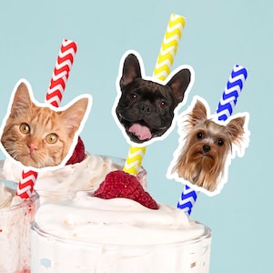 Custom Photo Pet Straws, Dog Face Decorations, Personalized Photo Paper Straws, Pet Photo Straws, Cat Birthday Party Straws, Pet Party Decor