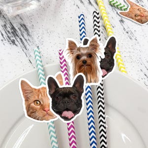 Bulk Custom Pet Birthday Photo Straws, Pet Wedding Face Straws, Paper Straws for Signature Drinks, Pet Lover Favor, Pet Birthday Party Decor