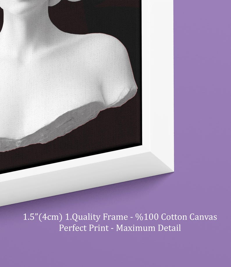 May include: A framed canvas print showing a grayscale bust sculpture against a dark backdrop. The white frame is 4cm thick. The text on the print reads: 1.Quality Frame - %100 Cotton Canvas, Perfect Print - Maximum Detail.