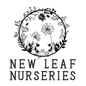 May include: Black and white logo for New Leaf Nurseries featuring a circular wreath of stylised flowers and leaves.