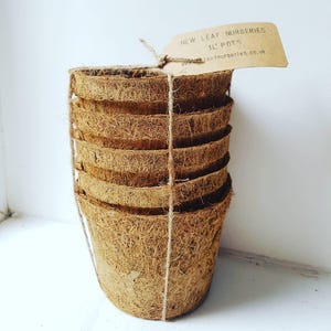 May include: A stack of 10 brown coconut coir pots, tied together with twine. The pots are 1L in size and are labelled "New Leaf Nurseries 1L Pots".