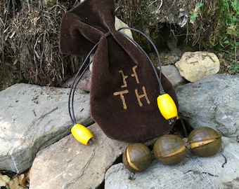 Seed Nuts Requisiten & Tasche