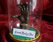 Cursed Monkey Paw Curio