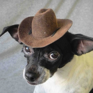 Indiana Jones hat for dog or cat brown color /Pet costume/Halloween pet costume/