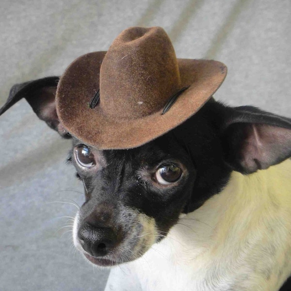 Indiana Jones Pet Hat, Brown Dog/Cat Costume