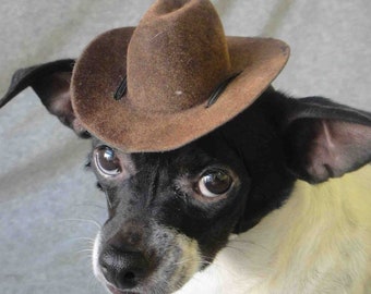 Indiana Jones hat for dog or cat brown color /Pet costume/Halloween pet costume/