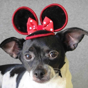 Mini mouse hat for dog of cat