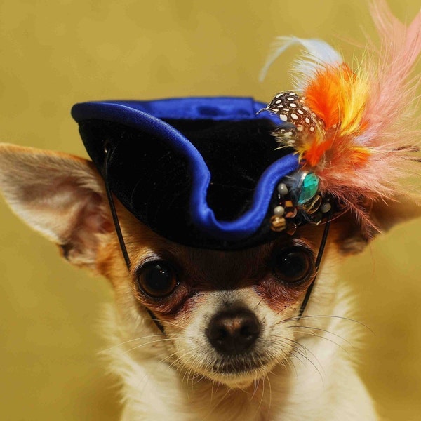 Chapeau très mignon pour chien ou chat /Chapeau de chien d'Halloween /Chapeau de pirate pour animaux de compagnie /Costume de chien/