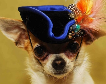 Very cute hat for dog or cat /Halloween dog hat /Pirate hat for pets /Dog costume/