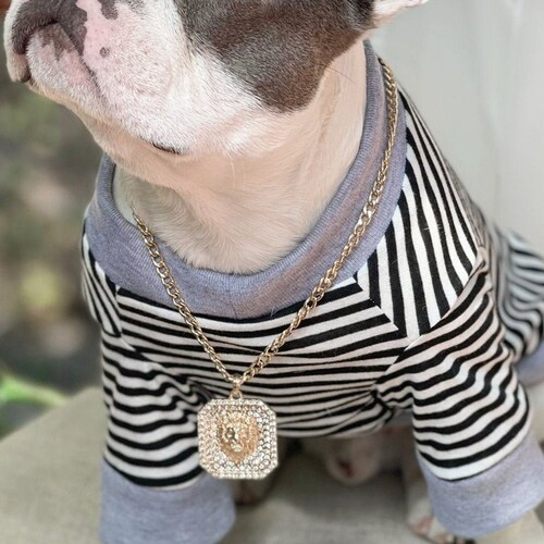 Supper Cute Dog Neck Chain Gold Color/ Jewelry for Pet Etsy