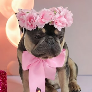 Set flower crown and neck bow / Garden Flowers Pet wedding Set /Flower Crown/ Dogs Floral Headband /Cat Flower Crown Outfits/