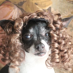 Cute pet   wig  for dog or cat/Halloween dog wig/Halloween dogs costume/Dog costume / Cat costume /