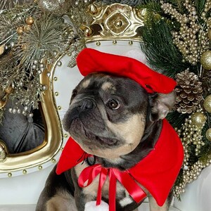 Beret  hat  with cape  dog or cat /Hat for dogs/Beret for dogs /