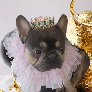 Diadème pour chien ou chat / Couronne de princesse pour chien / Couronne pour chien / Couronne de princesse /