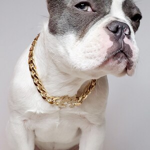 Supper cute dog neck chain gold color/ Jewelry for pet /Jewelry collar for  Frenchie/Cat neck jewelry collar /