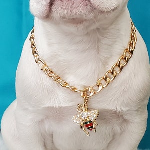 Supper cute dog neck chain gold color /Dog Neck Collar/