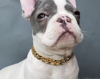 Cuban Link /Supper cute dog neck chain gold color/Jewelry  for pet / Dog collar/