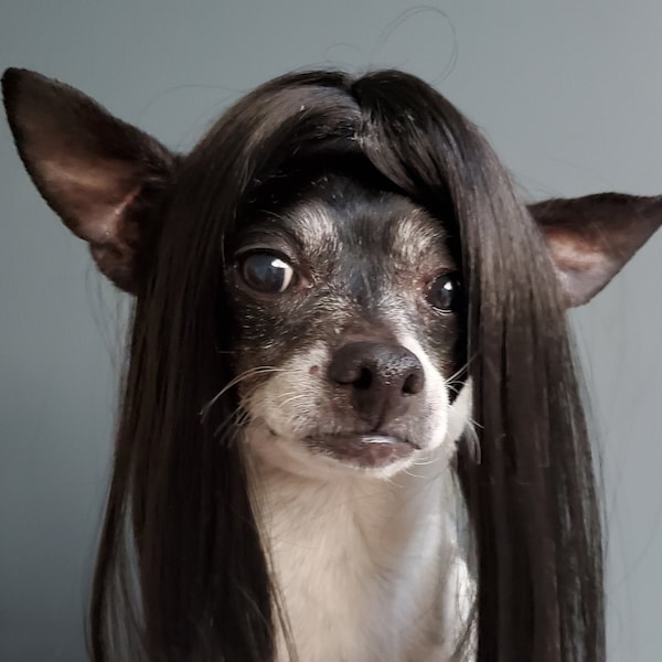 Cute pet   wig black color  dog or cat/ Halloween dog wig / Halloween costume /Dog costume/