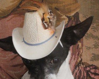 Cowboys  hat white color  for dog or cat/Halloween dog hat /Dog costume /Cat costume/Pet Halloween hat/