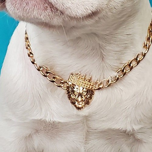 Cuban Link/ Supper Cute Dog Neck Chain Gold Color/ Jewelry for Etsy