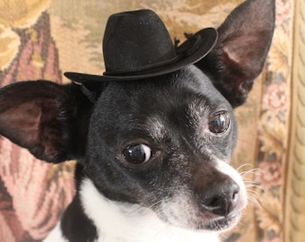 Black Cowboy Hat for Dog or Cat - Pet Costume