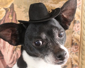 Cowboy hat for dog or cat  black color /Small animals hat/Halloween dog hat /Cowboy dogs hat/