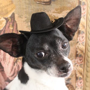 Cowboy hat for dog or cat black color /Small animals hat/Halloween dog hat /Cowboy dogs hat/ Black