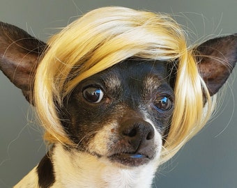 Pet   wig blond  color   for dog or cat / wig for pet /Halloween pet wig / Costume wig for dogs /Dog costume /