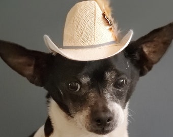 Cowboys  hat white color  for dog or cat/Halloween costume/