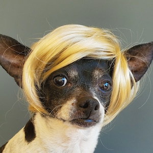 Pet   wig blond  color   for dog or cat / wig for pet /Halloween pet wig / Costume wig for dogs /Dog costume /