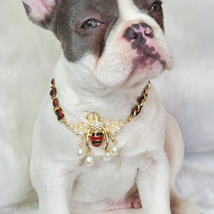 Supper cute dog neck chain gold color