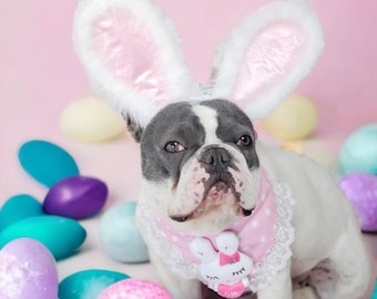 Easter Bunny headband    for dog or cat /Bunny dog hat / Bunny dogs costume/