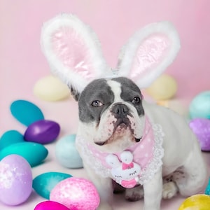 Easter Bunny headband for dog or cat /Bunny dog hat / Bunny dogs costume/ image 1