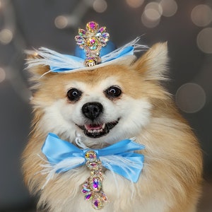 Elegant hat with   feather and   bow  for dog or cat /Hat for small pet /Costume for dogs/