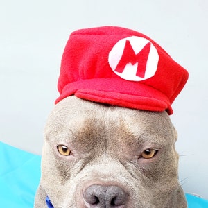 Supper Mario hat red color  for larger dog   /Halloween dog costume/ Costume for pet /Dog costume /