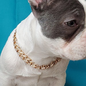 Cuban Link  /Supper cute dog neck chain gold color/ Jewelry for pet /Jewelry collar for  Frenchie/Cat neck jewelry collar /