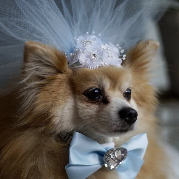 Set Cute bridal  veil  baby blue  color  with white flowers and blue color bow tie