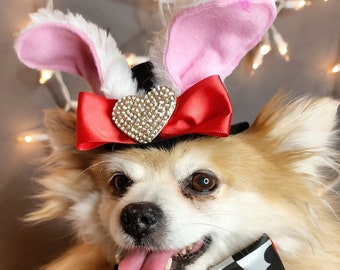 Easter Bunny hat  and bow set for dog or cat / Dog costume/Pet Halloween costume/